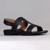 Froggie Ida H-Bar leather Flat Sandal - Black