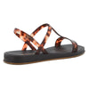 Ipanema Glow Trendy Sandal - Black