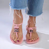 Ipanema Rumi Ladies Thong Sandals - Pink