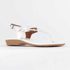 Froggie Ella Leather Comfort Thong Sandal - White-Froggie-Buy shoes online