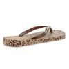 Ipanema Animal Chic Flip Flop Sandal - Beige Bronze