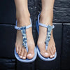Ipanema Class Charming Slingback Sandal - Blue