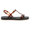 Ipanema Glow Trendy Sandal - Black