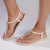 Ipanema Rose Glam Thong Sandals - Beige-Ipanema-Buy shoes online