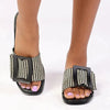 Madison Janvee 2 Flats - Black Multi