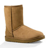 UGG Classic Short ll Boot - Chestnut-UGG-Buy shoes online