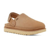 UGG The Goldenstar Clog - Driftwood-UGG-Buy shoes online